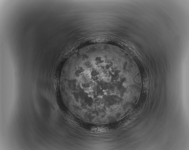 X0000116860503200912291302