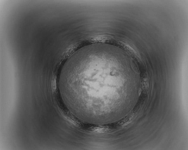 X0000116860504200912291302