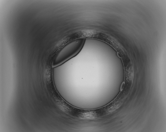 X0000116860505200912291302