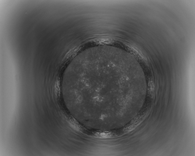 X0000116860506200912291302