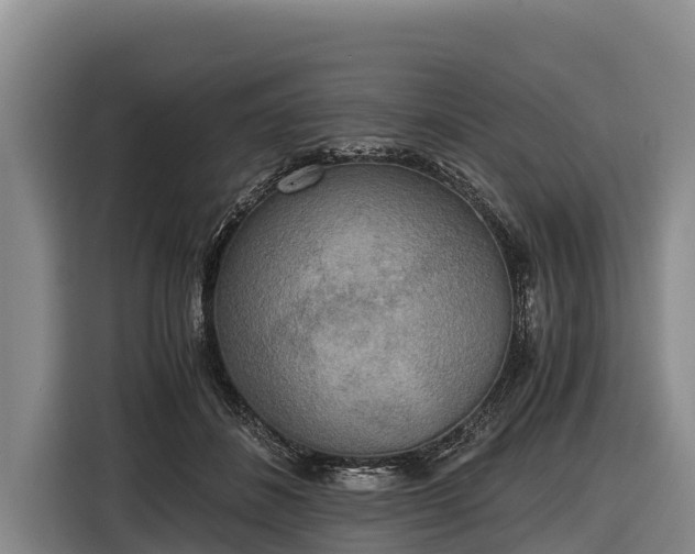 X0000116860508200912291302