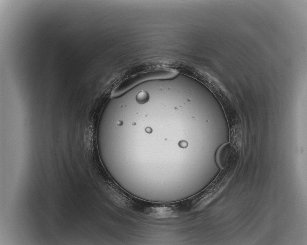 X0000116860509200912291302