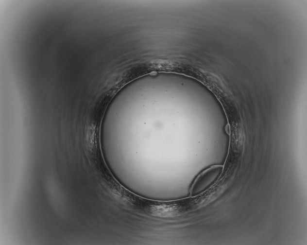 X0000116860511200912291302