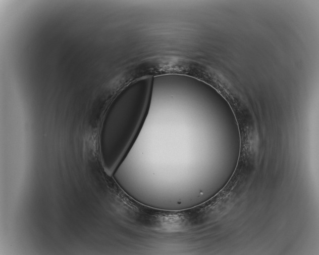 X0000116860513200912291302