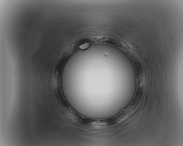 X0000116860515200912291302