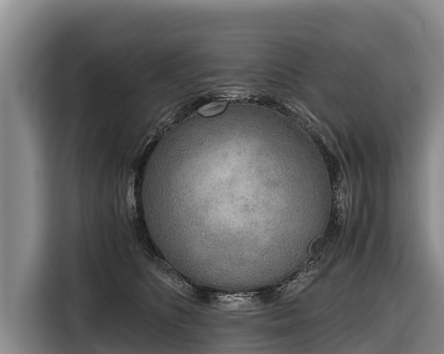 X0000116860516200912291302