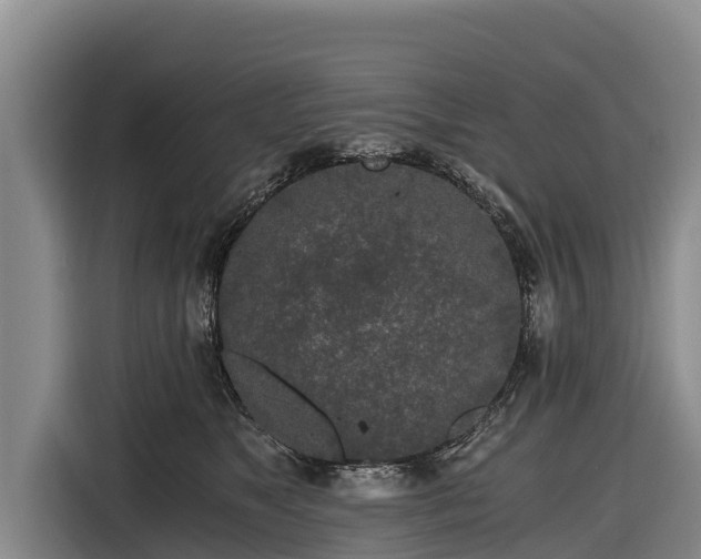 X0000116860517200912291302