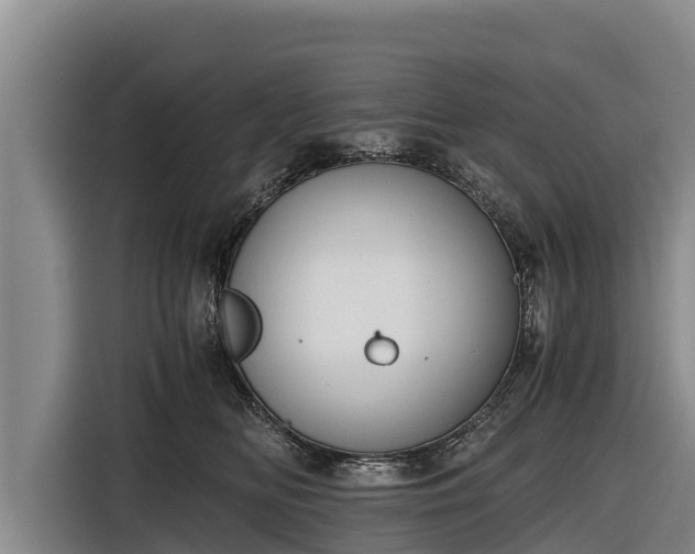 X0000116860518200912291302