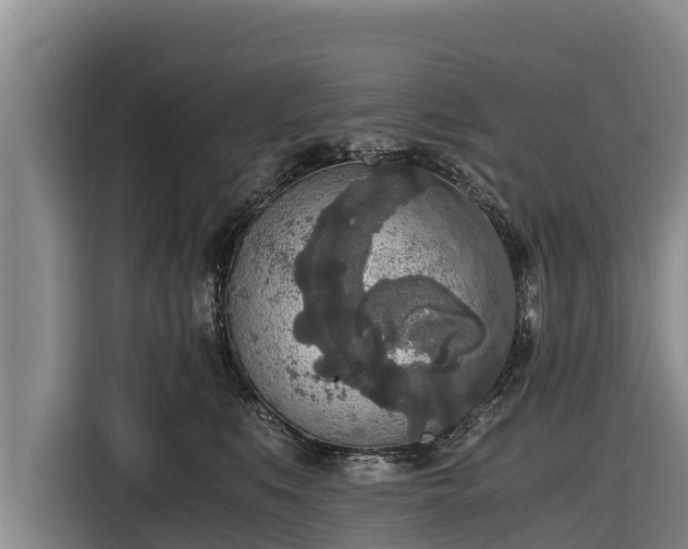 X0000116860519200912291302