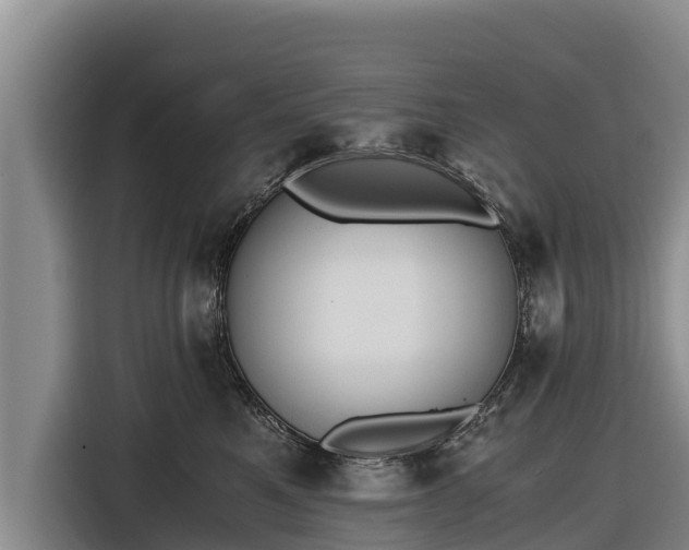 X0000116860521200912291302