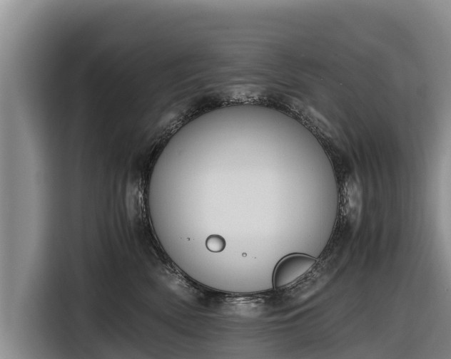 X0000116860522200912291302