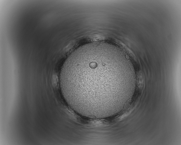 X0000116860523200912291302