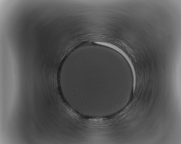 X0000116860524200912291302