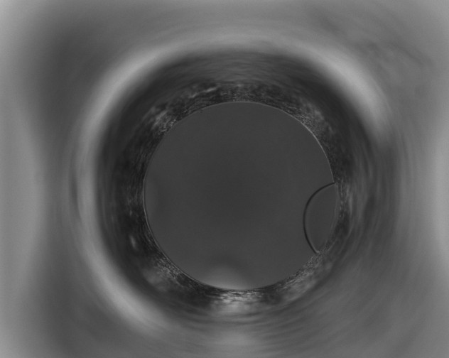 X0000116860526200912291302