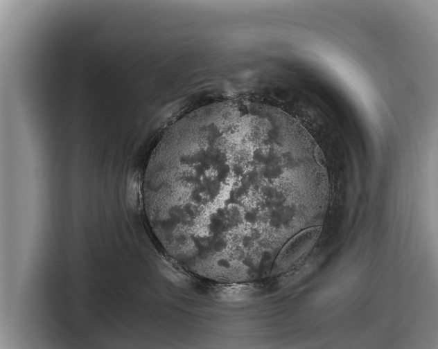 X0000116860527200912291302