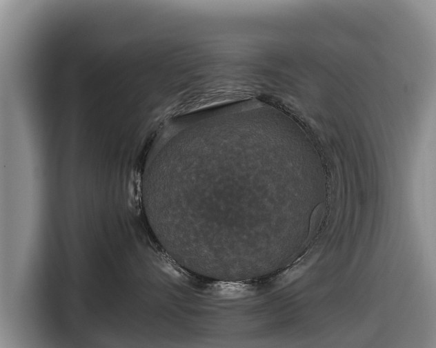 X0000116860528200912291302