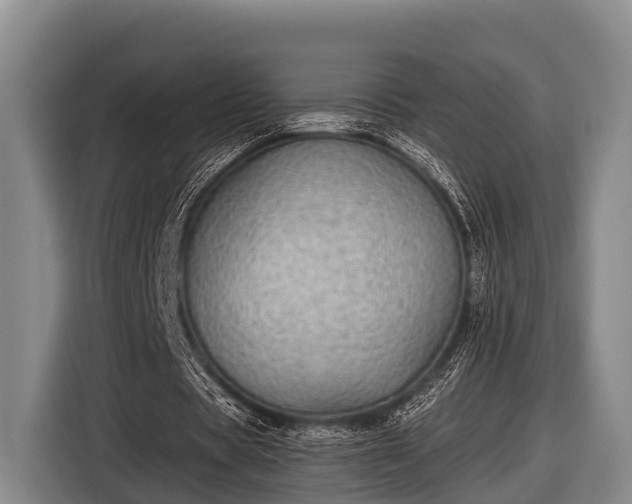 X0000116860529200912291301