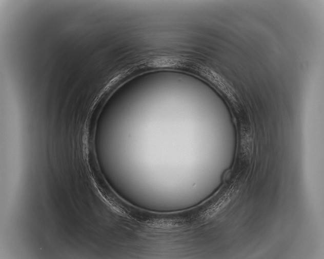 X0000116860530200912291301