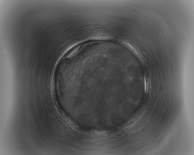 X0000116860531200912291301