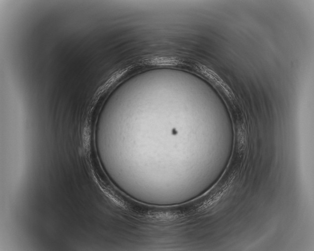 X0000116860533200912291302