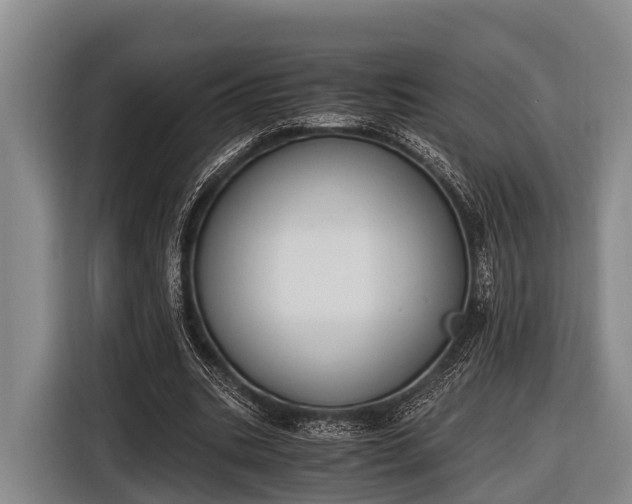 X0000116860535200912291302