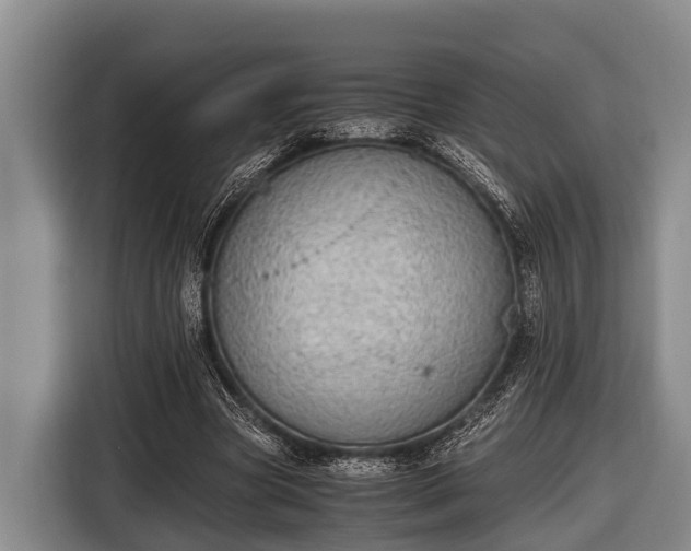 X0000116860537200912291302