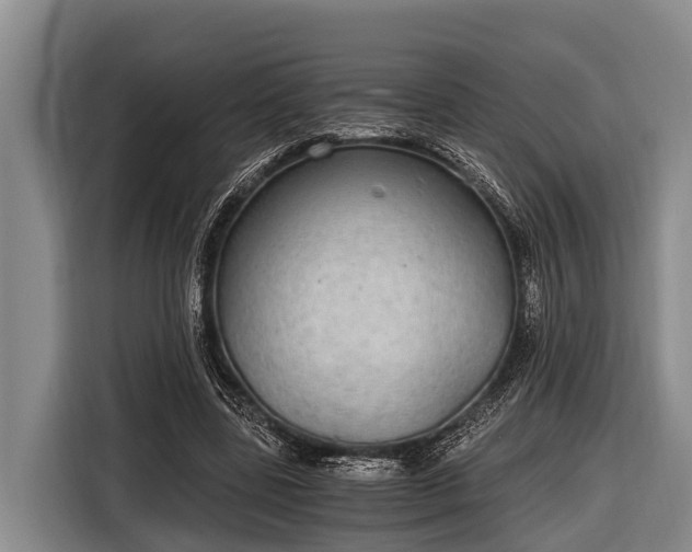 X0000116860539200912291302