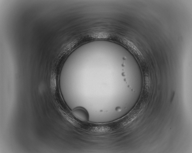 X0000116860541200912291302