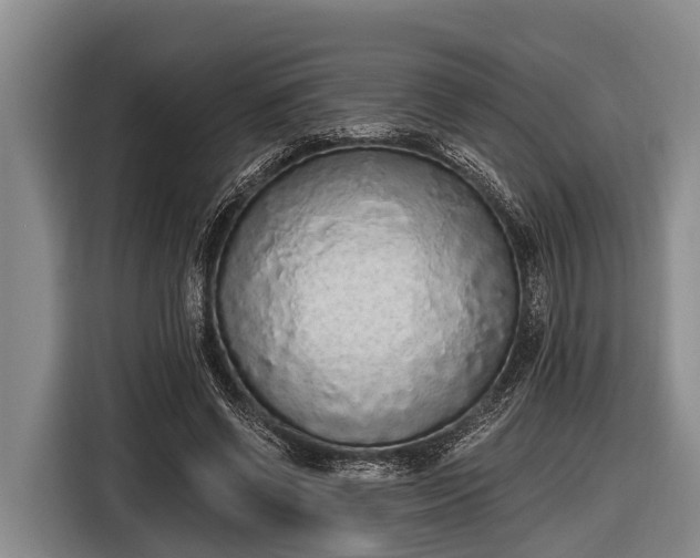 X0000116860542200912291302