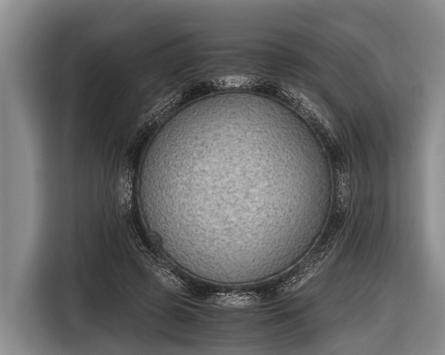 X0000116860545200912291302