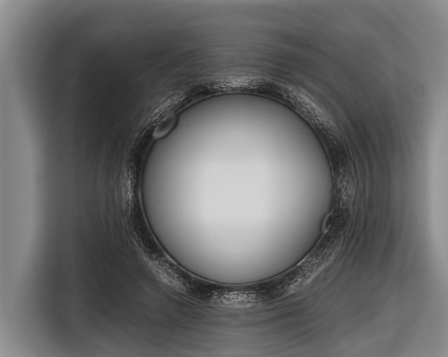 X0000116860546200912291302