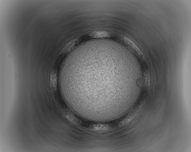 X0000116860549200912291302