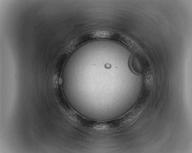 X0000116860551200912291302