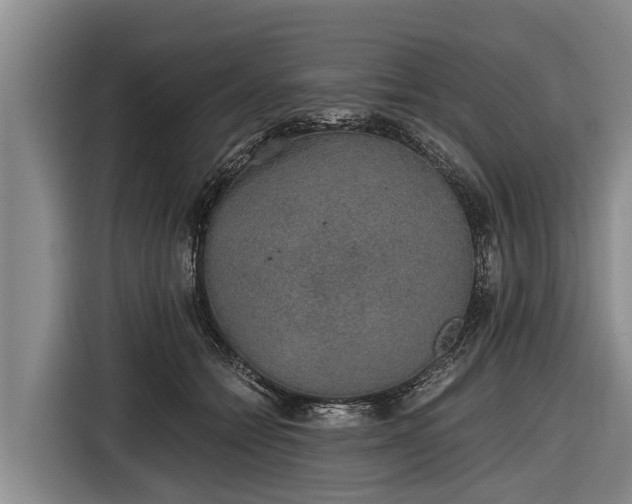 X0000116860558200912291302