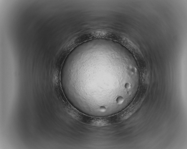 X0000116860561200912291302