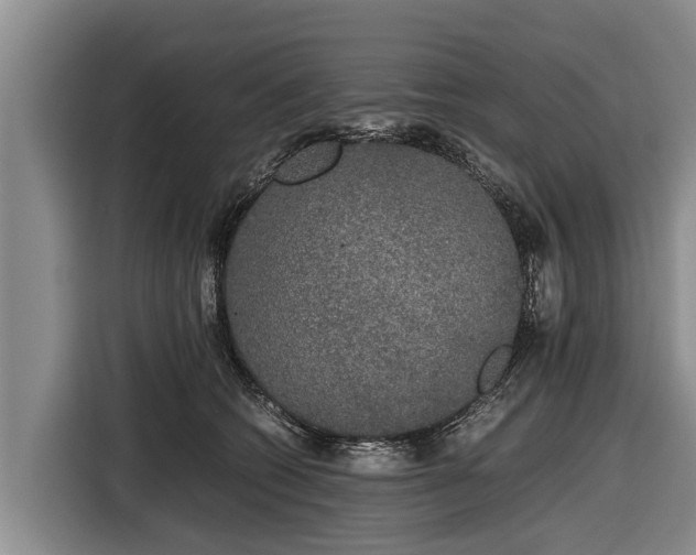 X0000116860562200912291302