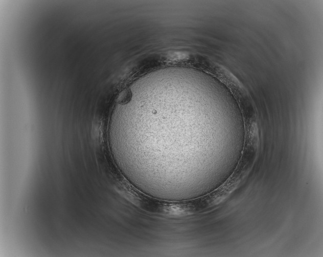 X0000116860565200912291302