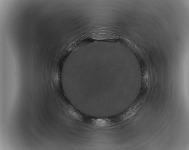 X0000116860566200912291302