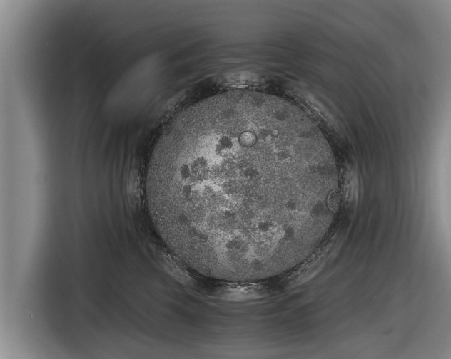 X0000116860569200912291302