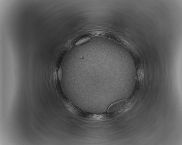 X0000116860570200912291302