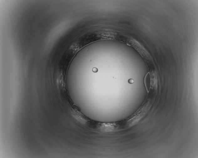 X0000116860573200912291302