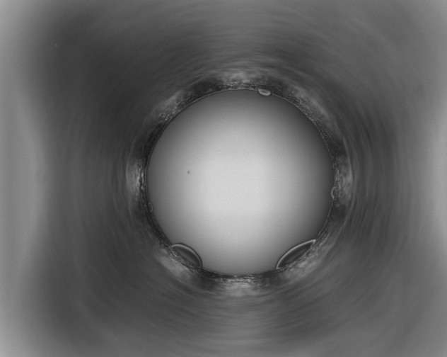 X0000116860574200912291302