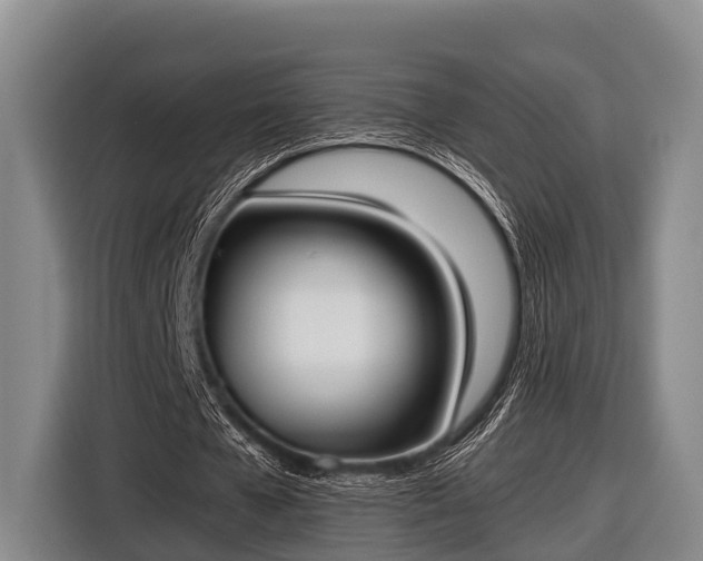 X0000116860577200912291301