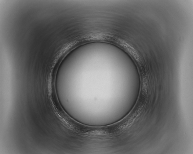 X0000116860578200912291301