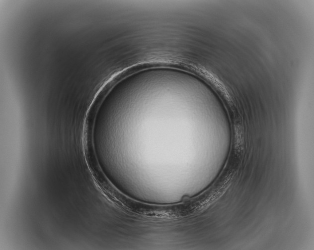 X0000116860580200912291301