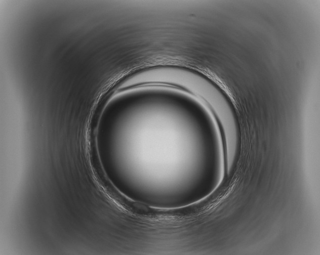 X0000116860581200912291301