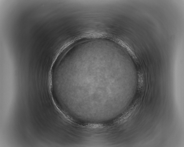 X0000116860582200912291301