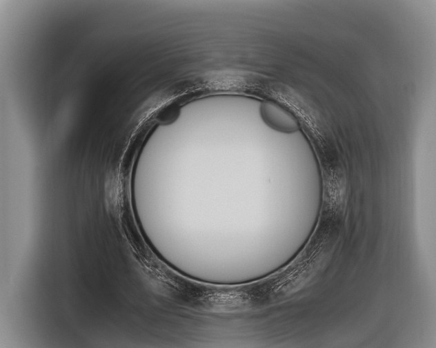 X0000116860583200912291301