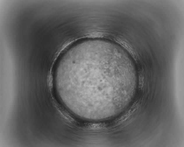 X0000116860584200912291301