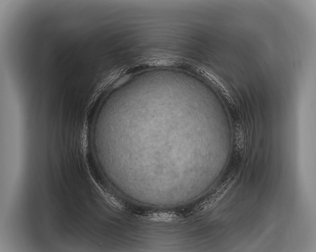 X0000116860586200912291301